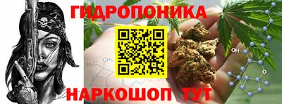 не бодяженный Краснодар