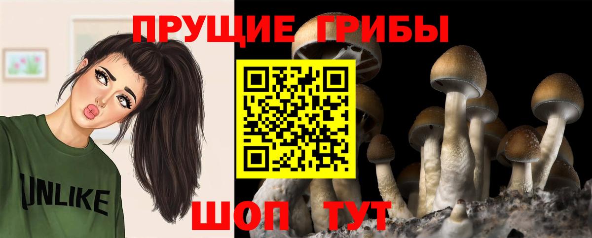 Галлюциногенные грибы мицелий  Галлюциногенные грибы Psilocybine cubensis  Каменск-Уральский  Вход с VPN 